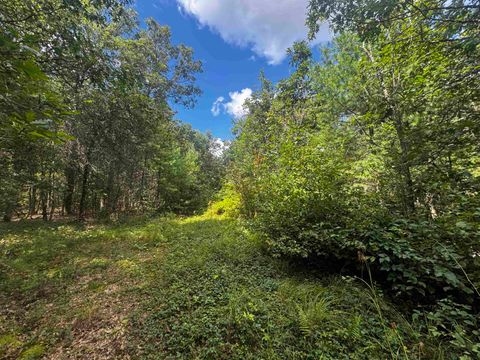Tiny photo for 80 AC 13th Ave N Acres, Arkdale, WI 54613 (MLS # 2009946)