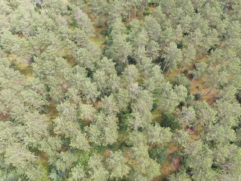 Tiny photo for 80 AC 13th Ave N Acres, Arkdale, WI 54613 (MLS # 2009946)