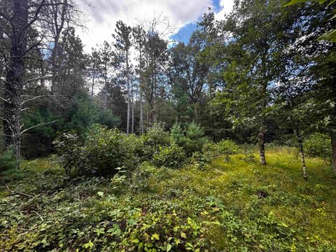Tiny photo for 80 AC 13th Ave N Acres, Arkdale, WI 54613 (MLS # 2009946)