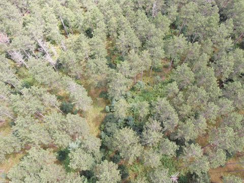 Tiny photo for 80 AC 13th Ave N Acres, Arkdale, WI 54613 (MLS # 2009946)