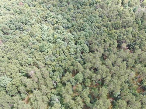 Tiny photo for 80 AC 13th Ave N Acres, Arkdale, WI 54613 (MLS # 2009946)