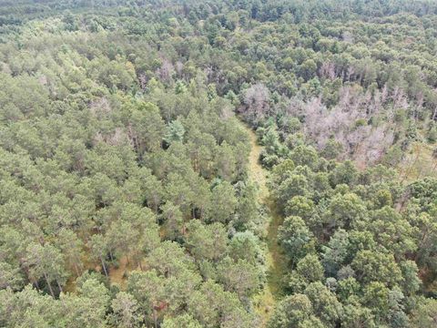 Tiny photo for 80 AC 13th Ave N Acres, Arkdale, WI 54613 (MLS # 2009946)