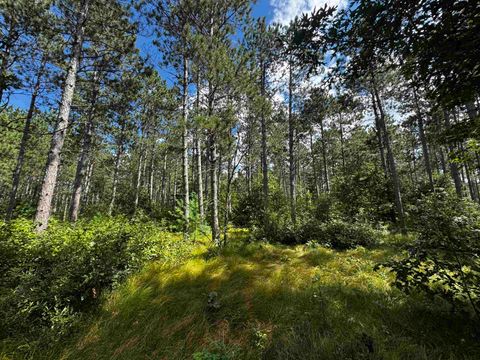 Tiny photo for 80 AC 13th Ave N Acres, Arkdale, WI 54613 (MLS # 2009946)