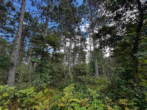 Tiny photo for 80 AC 13th Ave N Acres, Arkdale, WI 54613 (MLS # 2009946)