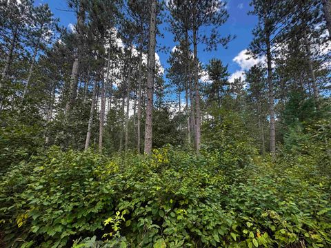 Tiny photo for 80 AC 13th Ave N Acres, Arkdale, WI 54613 (MLS # 2009946)