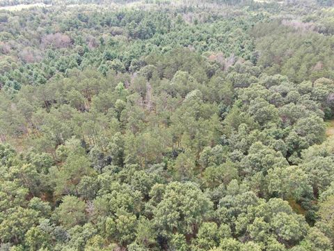 Tiny photo for 80 AC 13th Ave N Acres, Arkdale, WI 54613 (MLS # 2009946)