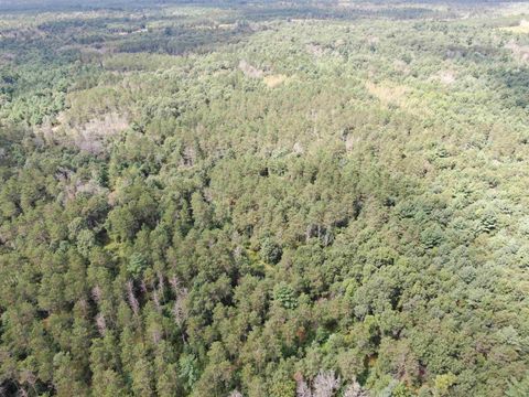 Tiny photo for 80 AC 13th Ave N Acres, Arkdale, WI 54613 (MLS # 2009946)