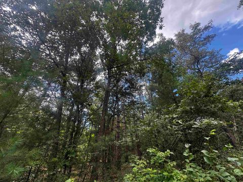 Tiny photo for 80 AC 13th Ave N Acres, Arkdale, WI 54613 (MLS # 2009946)