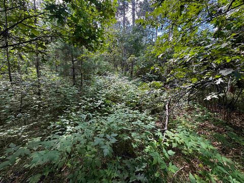 Tiny photo for 80 AC 13th Ave N Acres, Arkdale, WI 54613 (MLS # 2009946)