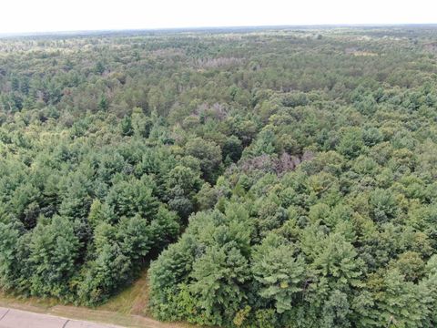 Photo of 80 AC 13th Ave N Acres, Arkdale, WI 54613 (MLS # 2009946)