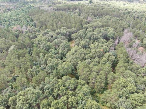 Tiny photo for 80 AC 13th Ave N Acres, Arkdale, WI 54613 (MLS # 2009946)