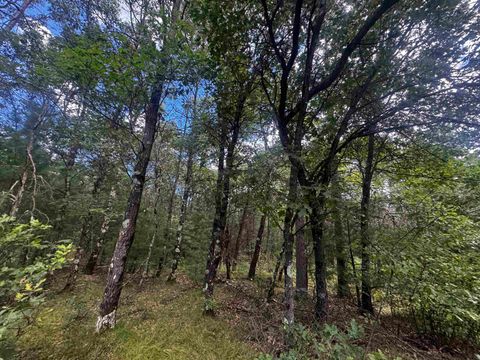 Tiny photo for 80 AC 13th Ave N Acres, Arkdale, WI 54613 (MLS # 2009946)