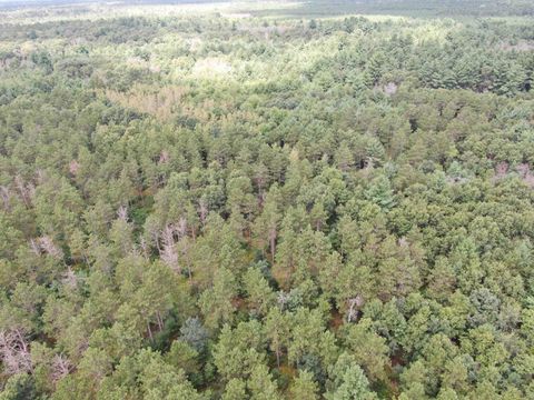Tiny photo for 80 AC 13th Ave N Acres, Arkdale, WI 54613 (MLS # 2009946)