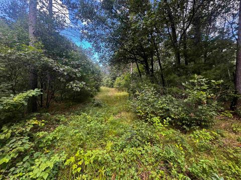 Tiny photo for 80 AC 13th Ave N Acres, Arkdale, WI 54613 (MLS # 2009946)