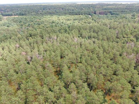 Tiny photo for 80 AC 13th Ave N Acres, Arkdale, WI 54613 (MLS # 2009946)