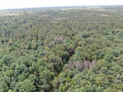 Tiny photo for 80 AC 13th Ave N Acres, Arkdale, WI 54613 (MLS # 2009946)