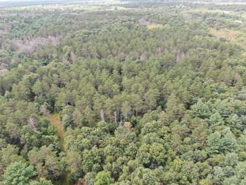 Tiny photo for 80 AC 13th Ave N Acres, Arkdale, WI 54613 (MLS # 2009946)