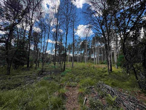 Tiny photo for 80 AC 13th Ave N Acres, Arkdale, WI 54613 (MLS # 2009946)