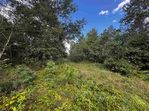 Tiny photo for 80 AC 13th Ave N Acres, Arkdale, WI 54613 (MLS # 2009946)
