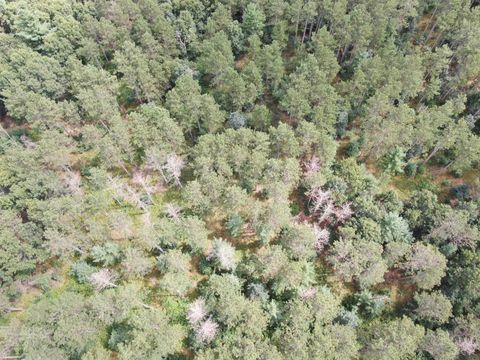 Tiny photo for 80 AC 13th Ave N Acres, Arkdale, WI 54613 (MLS # 2009946)