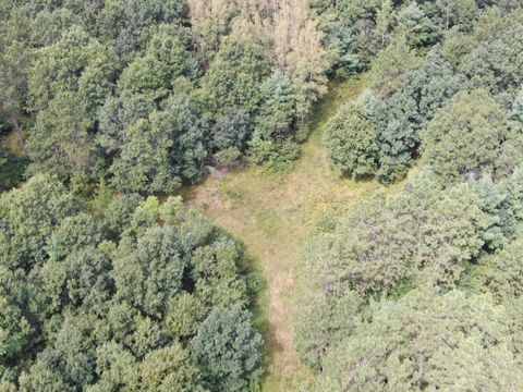 Tiny photo for 80 AC 13th Ave N Acres, Arkdale, WI 54613 (MLS # 2009946)