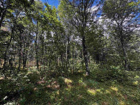 Tiny photo for 80 AC 13th Ave N Acres, Arkdale, WI 54613 (MLS # 2009946)