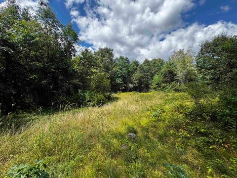 Tiny photo for 80 AC 13th Ave N Acres, Arkdale, WI 54613 (MLS # 2009946)