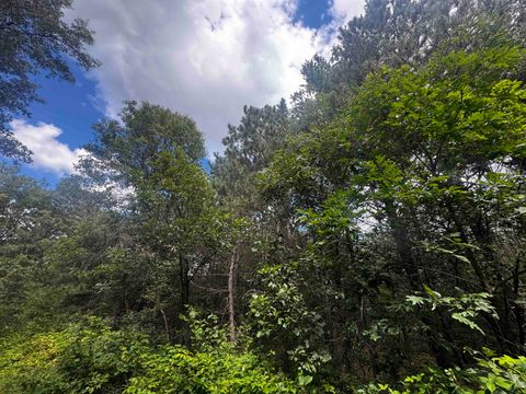 Tiny photo for 80 AC 13th Ave N Acres, Arkdale, WI 54613 (MLS # 2009946)