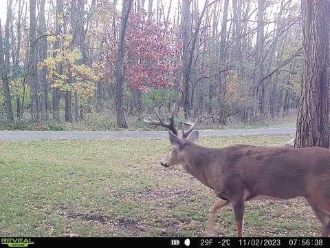 Tiny photo for W2948 County Road C, Montello, WI 53949 (MLS # 2004831)