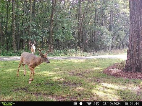 Tiny photo for W2948 County Road C, Montello, WI 53949 (MLS # 2004831)