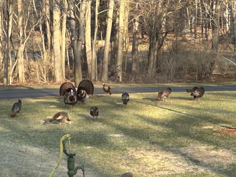 Tiny photo for W2948 County Road C, Montello, WI 53949 (MLS # 2004831)