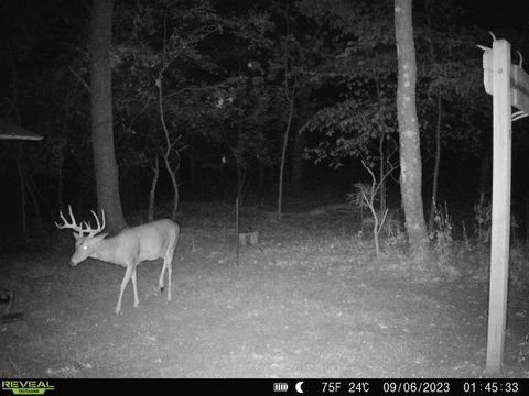 Tiny photo for W2948 County Road C, Montello, WI 53949 (MLS # 2004831)