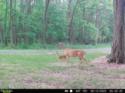 Tiny photo for W2948 County Road C, Montello, WI 53949 (MLS # 2004831)