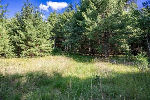 Tiny photo for 699 Badger Lane, Hancock, WI 54943 (MLS # 2004173)