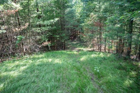 Tiny photo for 699 Badger Lane, Hancock, WI 54943 (MLS # 2004173)
