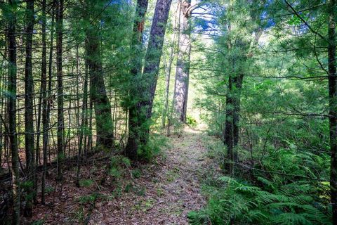 Tiny photo for 699 Badger Lane, Hancock, WI 54943 (MLS # 2004173)