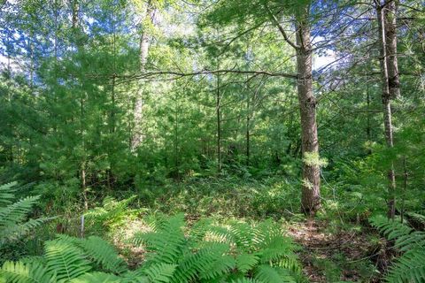 Tiny photo for 699 Badger Lane, Hancock, WI 54943 (MLS # 2004173)
