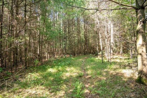 Tiny photo for 699 Badger Lane, Hancock, WI 54943 (MLS # 2004173)