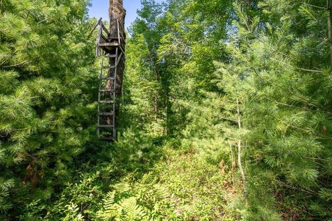 Tiny photo for 699 Badger Lane, Hancock, WI 54943 (MLS # 2004173)