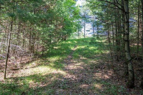 Tiny photo for 699 Badger Lane, Hancock, WI 54943 (MLS # 2004173)