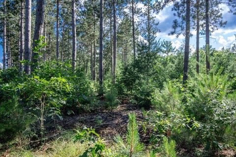 Tiny photo for 699 Badger Lane, Hancock, WI 54943 (MLS # 2004173)