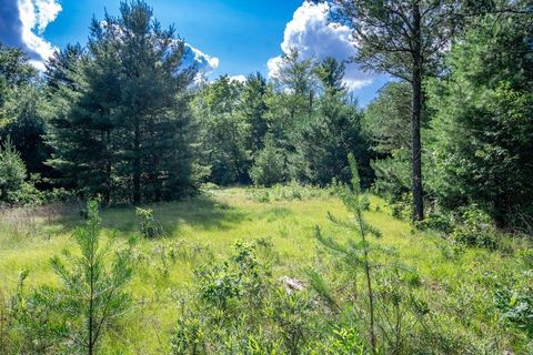 Tiny photo for 699 Badger Lane, Hancock, WI 54943 (MLS # 2004173)
