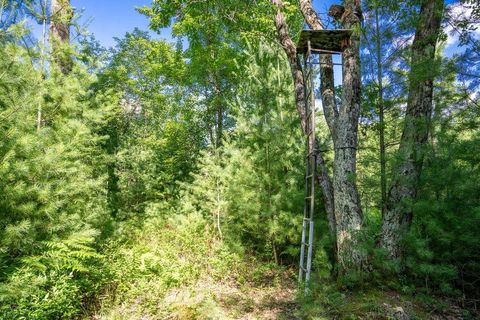 Tiny photo for 699 Badger Lane, Hancock, WI 54943 (MLS # 2004173)