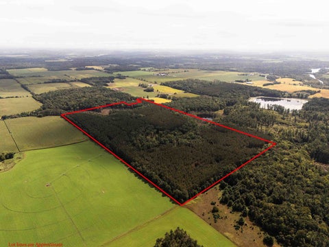 Photo of 77 +/- Acres Tomorrow River Road, Amherst, WI 54407 (MLS # 2032467)
