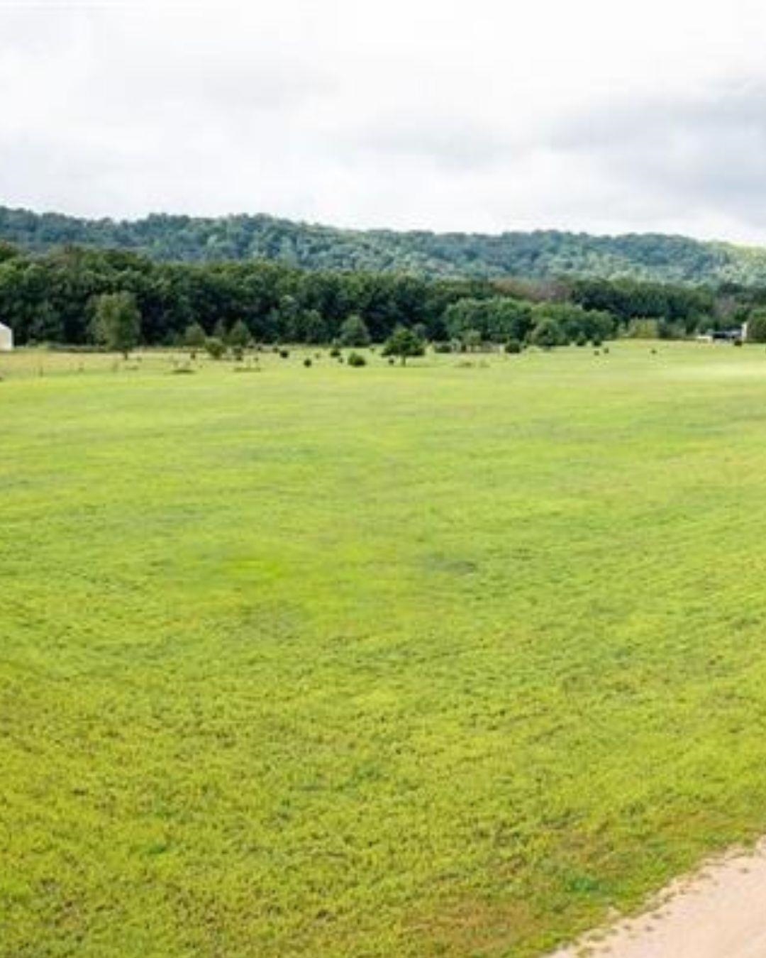 8.46 Acres Coon Rock Road