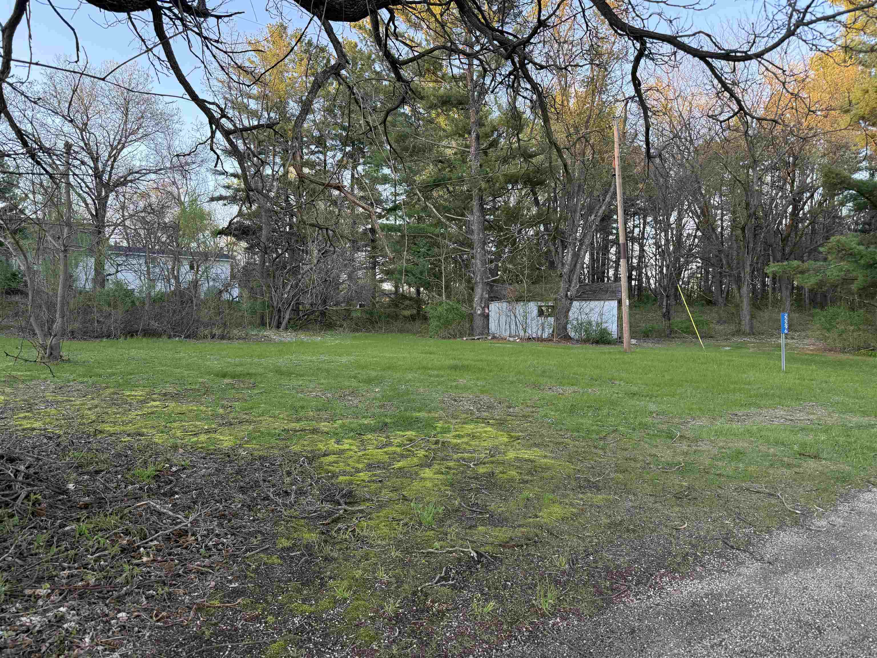 22296 Elizabeth Street - Photo 2