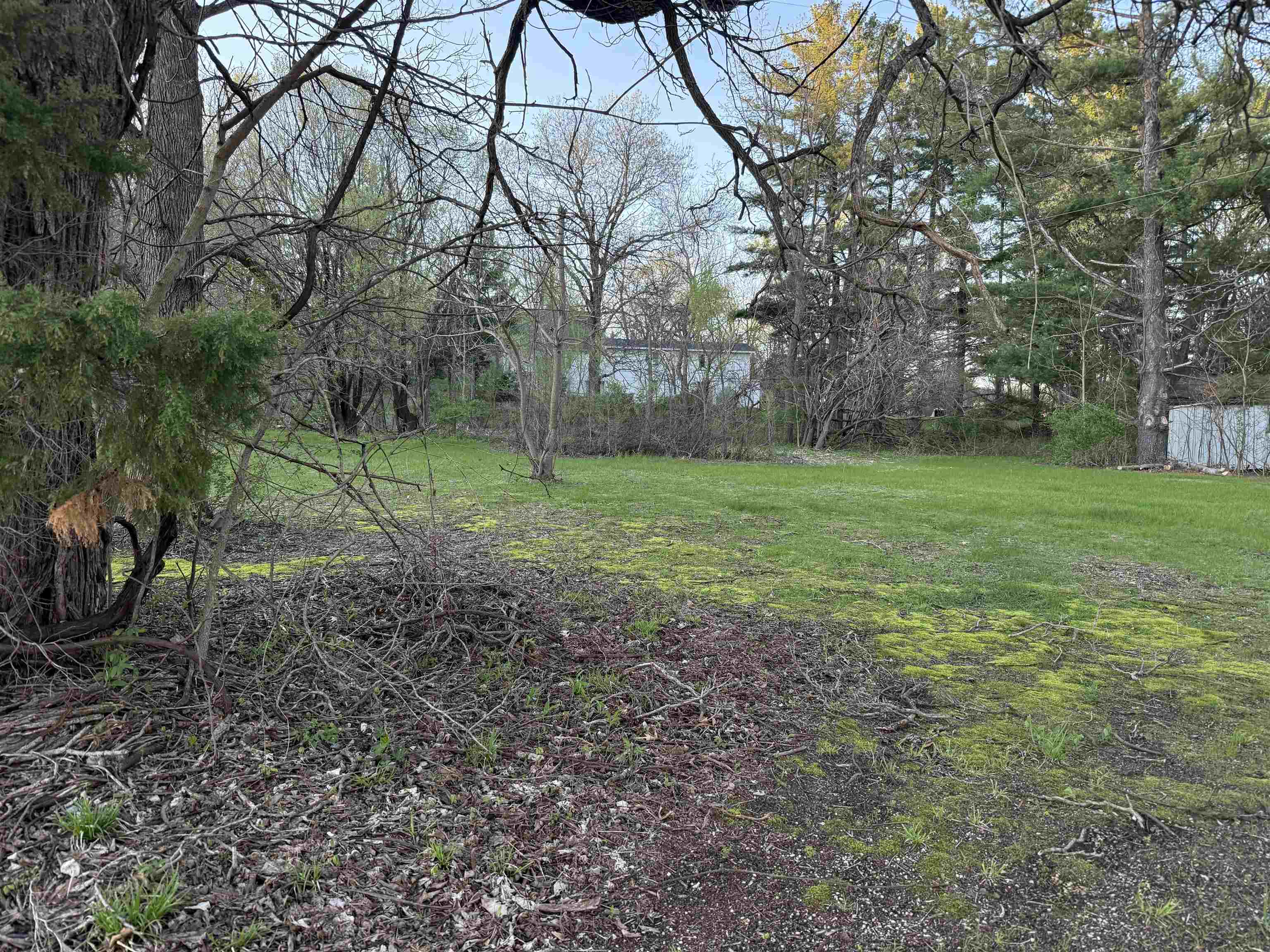 22296 Elizabeth Street - Photo 4