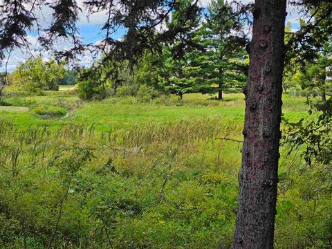 Tiny photo for 4012 County Road G, Wisconsin Dells, WI 53965 (MLS # 2008306)