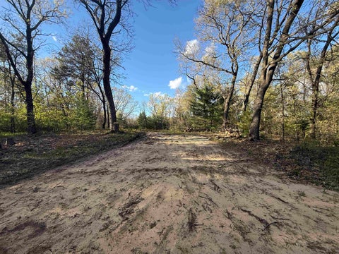 Photo of W1336 Arbor Lake N Drive, Lyndon Station, WI 53944 (MLS # 2023323)