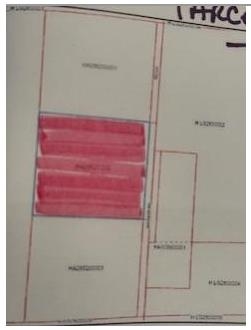 5.01 Ac Jackson Road - Photo 2